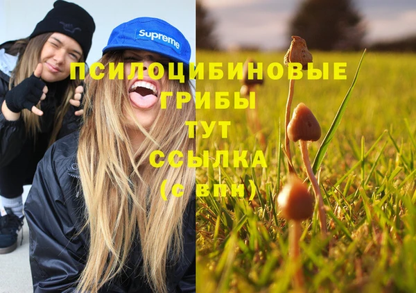 мдма Медногорск