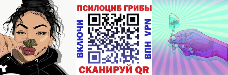 закладка  Новошахтинск  Галлюциногенные грибы Magic Shrooms 