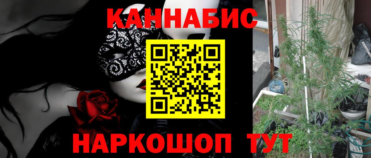 Бошки Шишки Amnesia  МАРИХУАНА сатива  Шишки марихуана Amnesia  Новошахтинск 